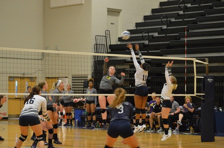 Lady Nittany Lions volleyball drop home opener to Carlow